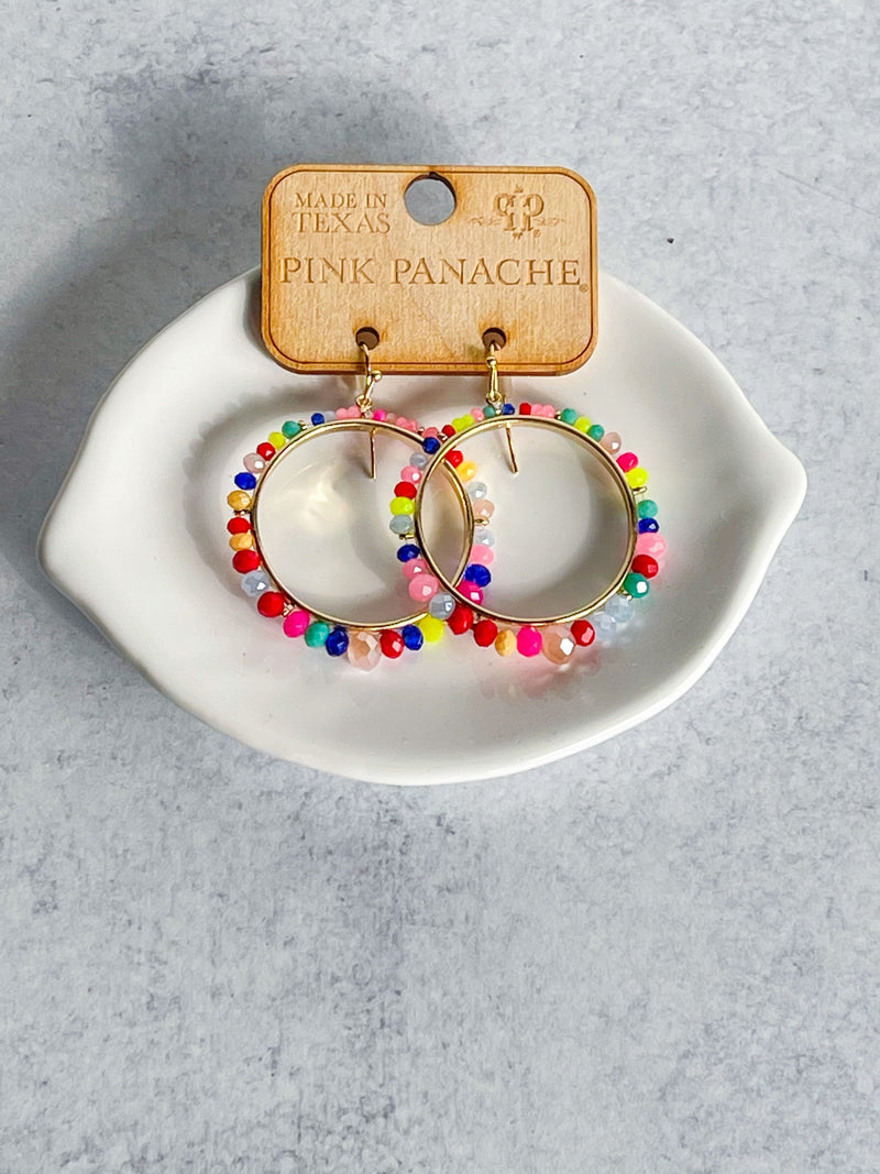 Feel the Rainbow Earrings